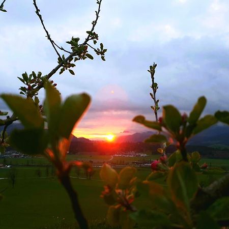 Griesbachhof-Wilder Kaiser Oberndorf in Tirol Exterior foto