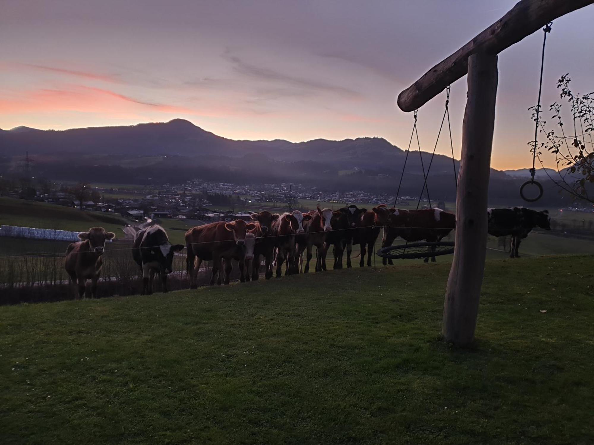 Griesbachhof-Wilder Kaiser Oberndorf in Tirol Exterior foto