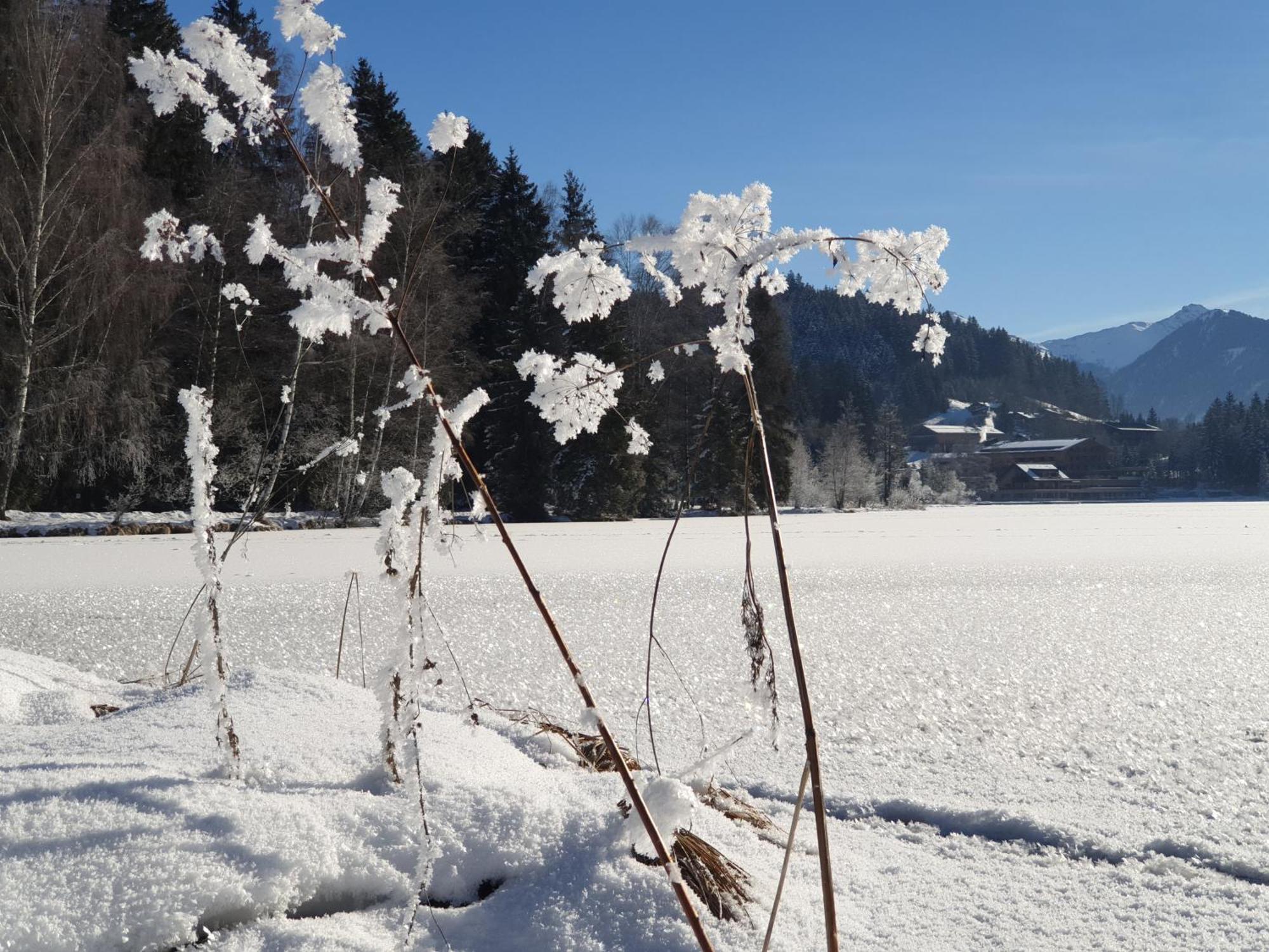 Griesbachhof-Wilder Kaiser Oberndorf in Tirol Exterior foto