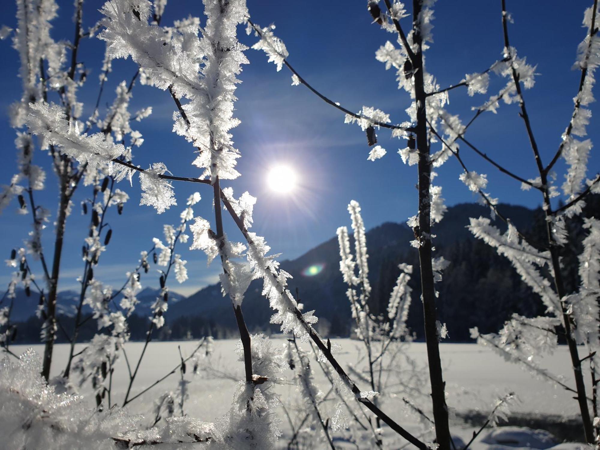Griesbachhof-Wilder Kaiser Oberndorf in Tirol Exterior foto