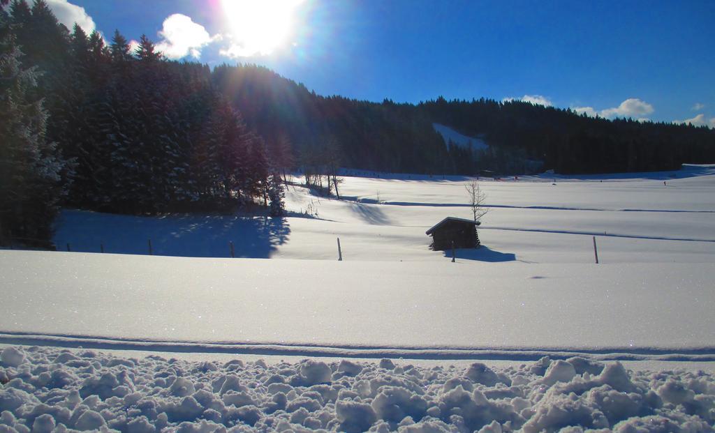 Griesbachhof-Wilder Kaiser Oberndorf in Tirol Exterior foto