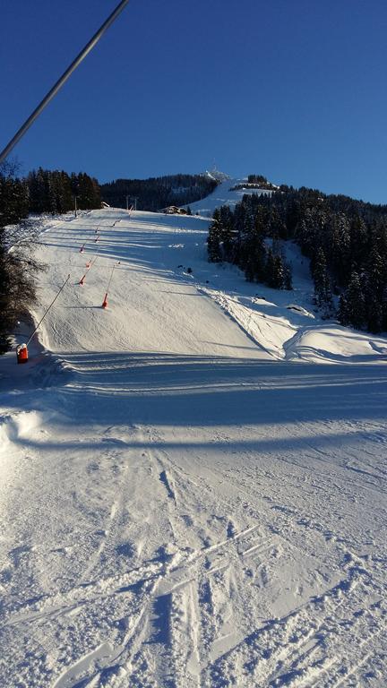 Griesbachhof-Wilder Kaiser Oberndorf in Tirol Exterior foto